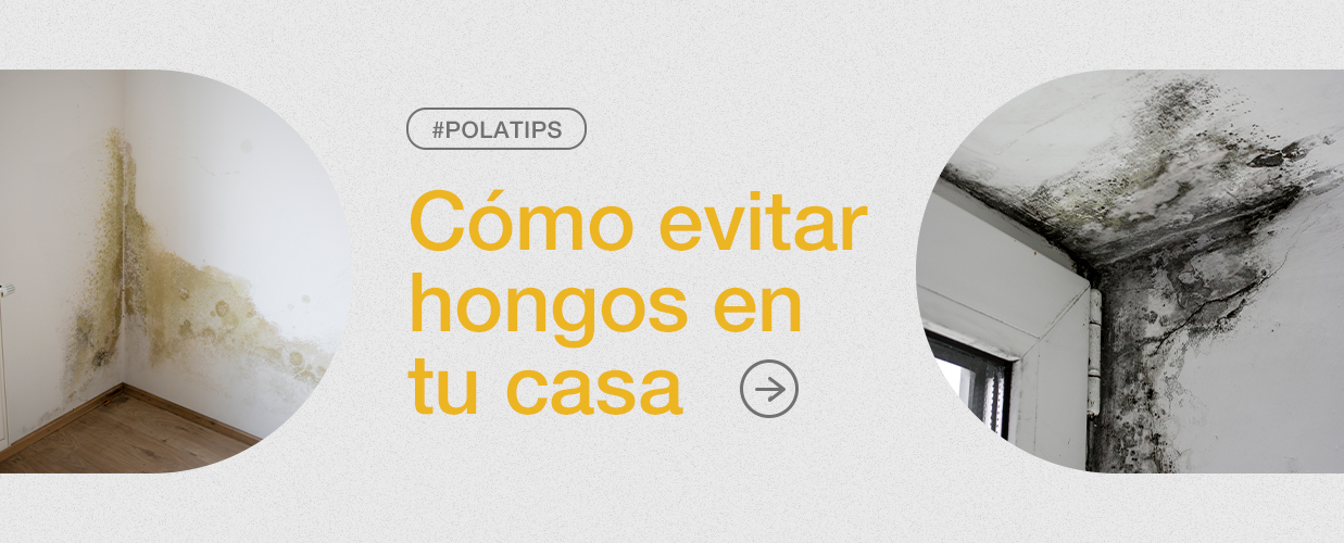 Lee más sobre el artículo Cómo evitar hongos en casa